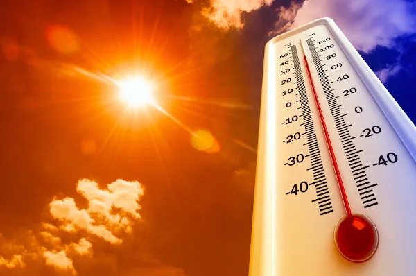 Segundo dados científicos, 2023 é o ano mais quente dos últimos 125 mil anos